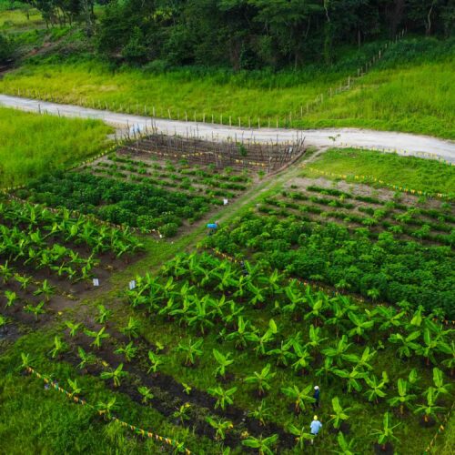 DJI_0989 (1) (1)